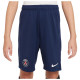 Nike Παιδικό σορτς Paris Saint-Germain Dri-FIT Academy Pro Shorts